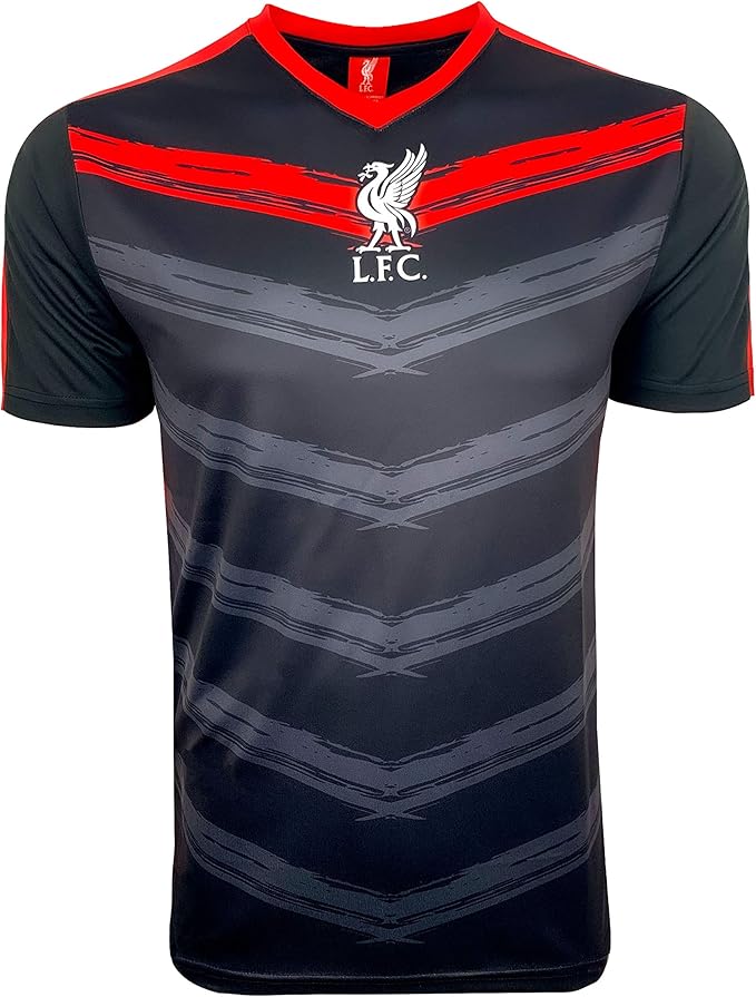 Official Liverpool FC Brushstroke Fan Jersey - Icon Sports image 0